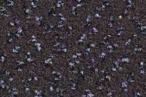Ковролин Balsan Impression Roll 790 фото  | FLOORDEALER